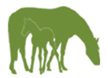 Horse-Logo